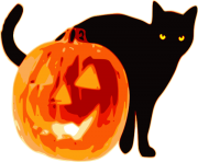 halloween cat with pumpkin hi