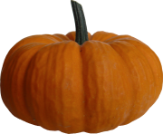 14 2 pumpkin png file