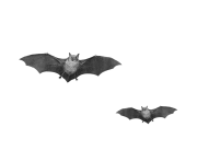10 2 halloween bat png pic