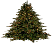real christmas tree free download png