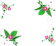 13 2 flowers borders free download png