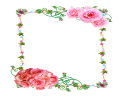 flowers photo frame png