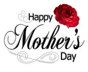 Mothers Day PNG Pic Rose
