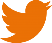 twitter logo png orange
