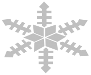 gray white snowflake png transparent 8