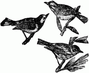warblers 23171 bird