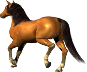 horse PNG312