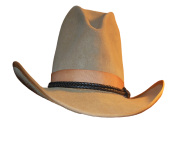 cowboy hat with black rope