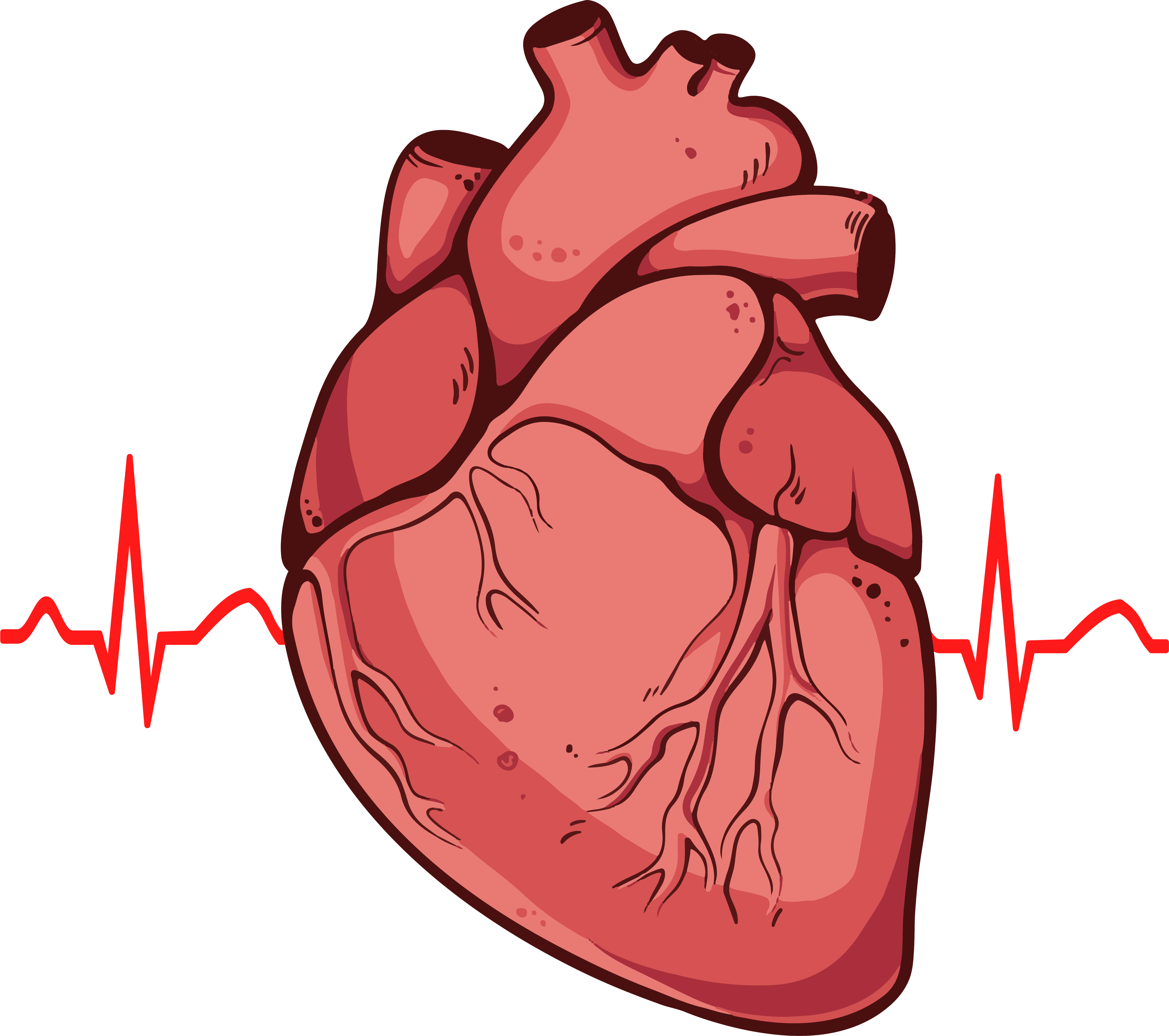 real heart png