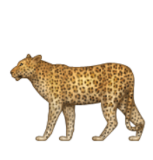 ios emoji leopard