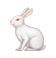 ios emoji rabbit