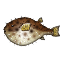 ios emoji blowfish