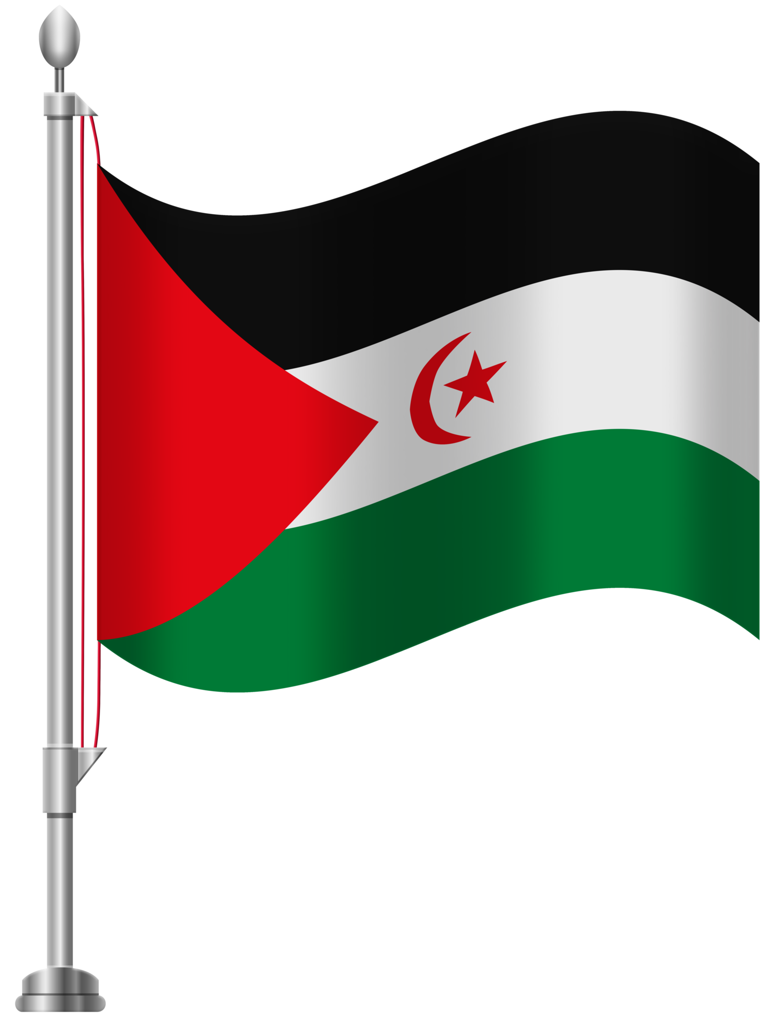 Western Sahara Flag PNG Clip Art