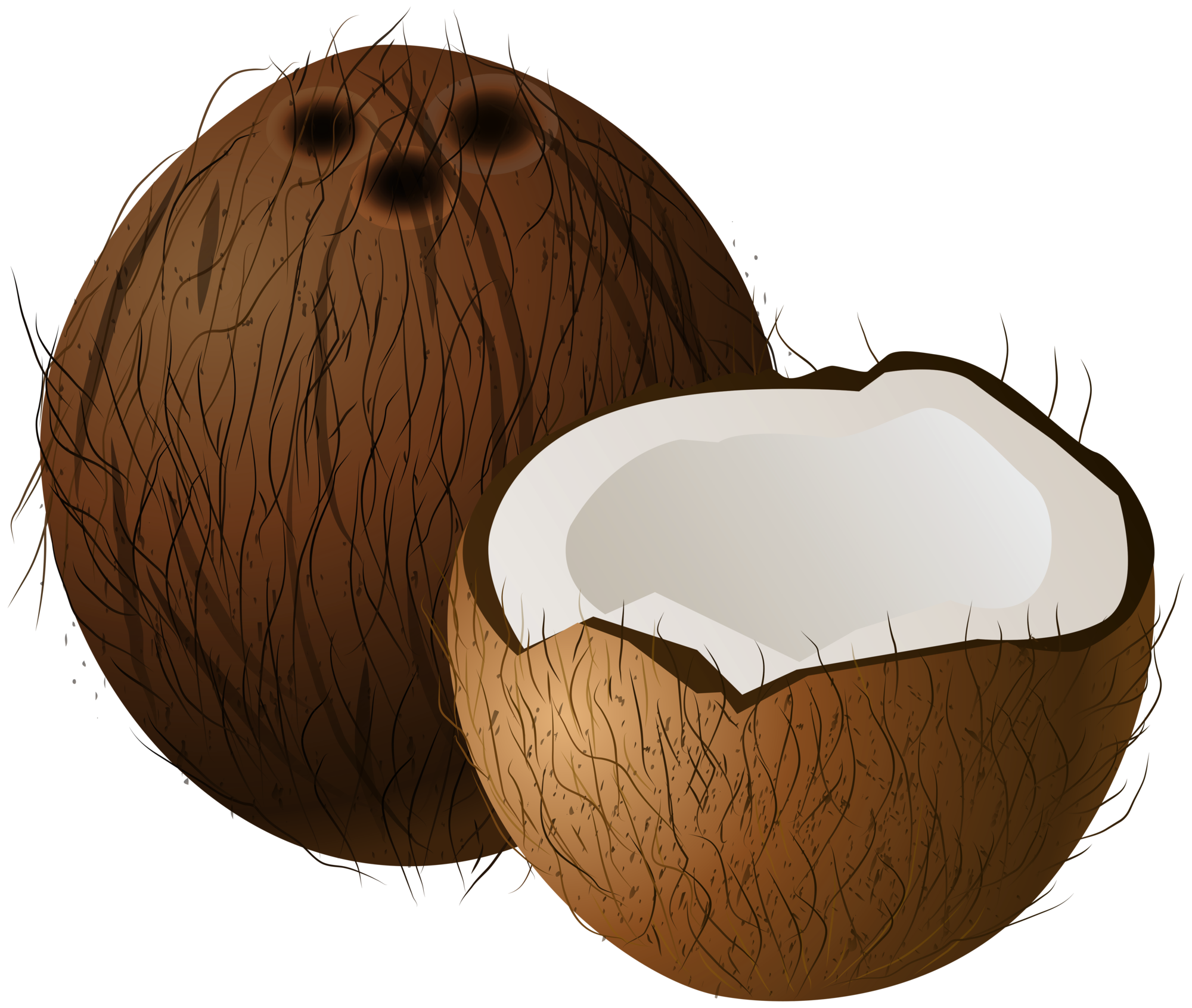 clip art coconut tree - photo #40