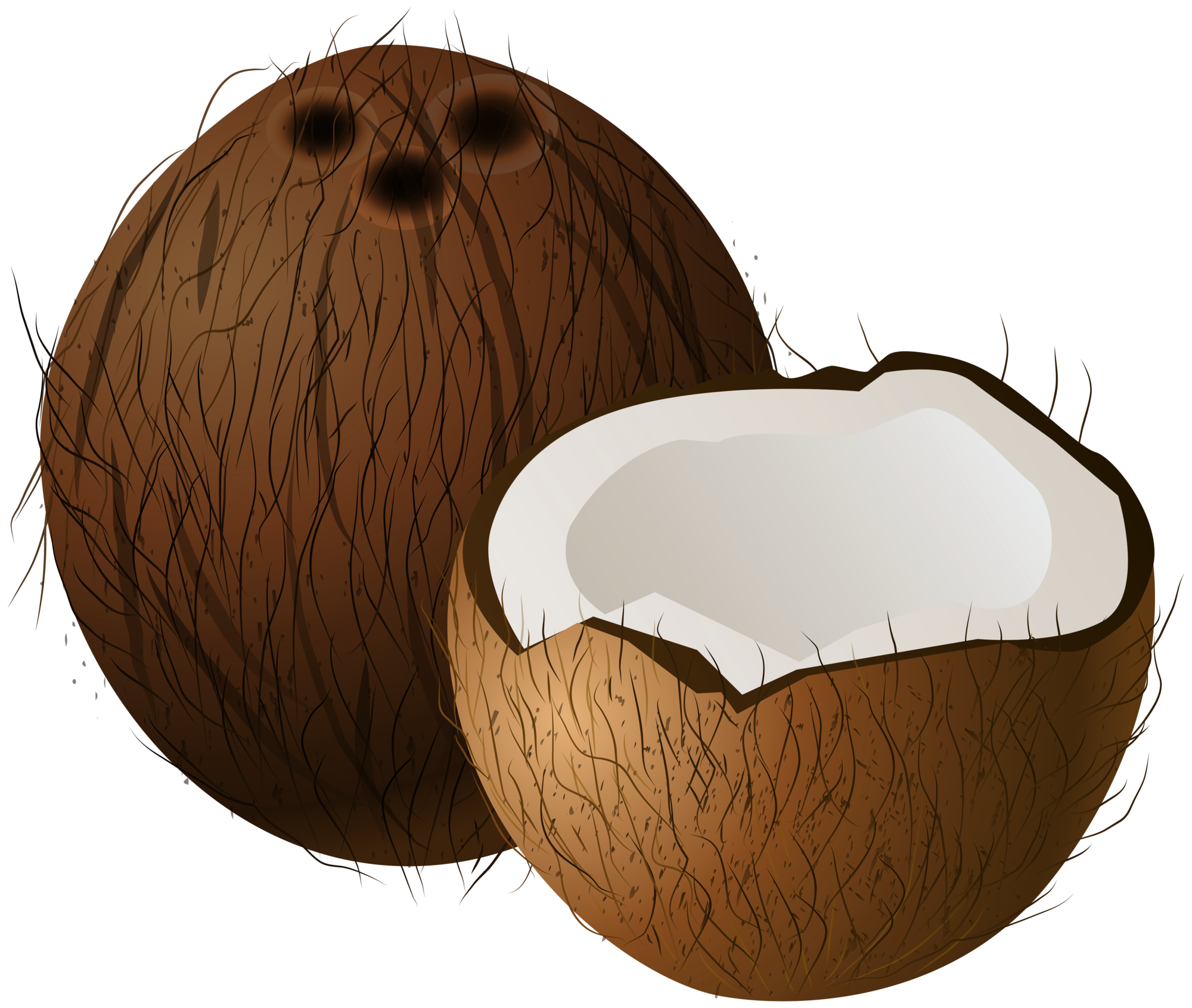 coconuts-png-clip-art