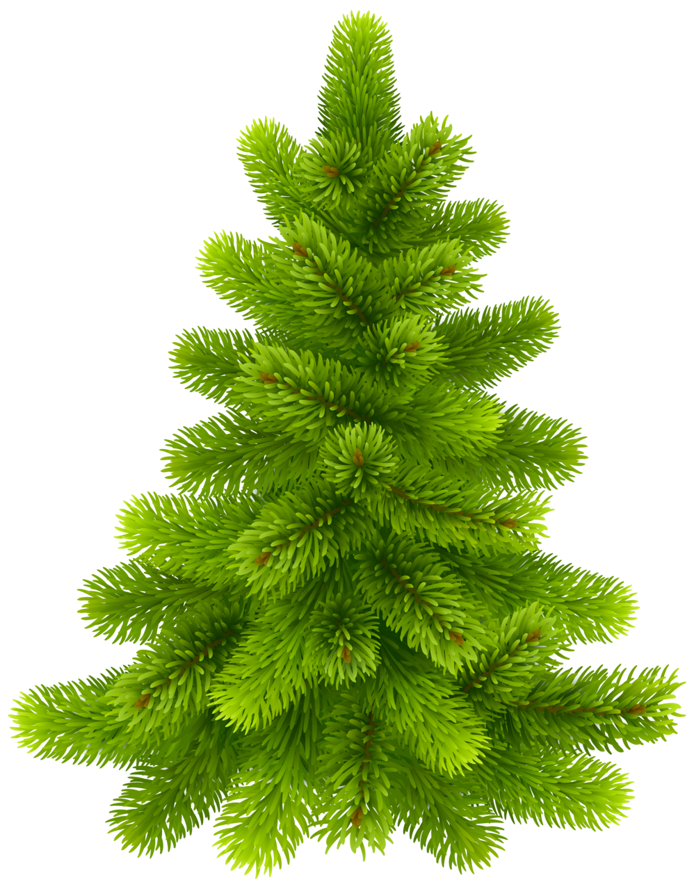 Pine Tree PNG Clip Art