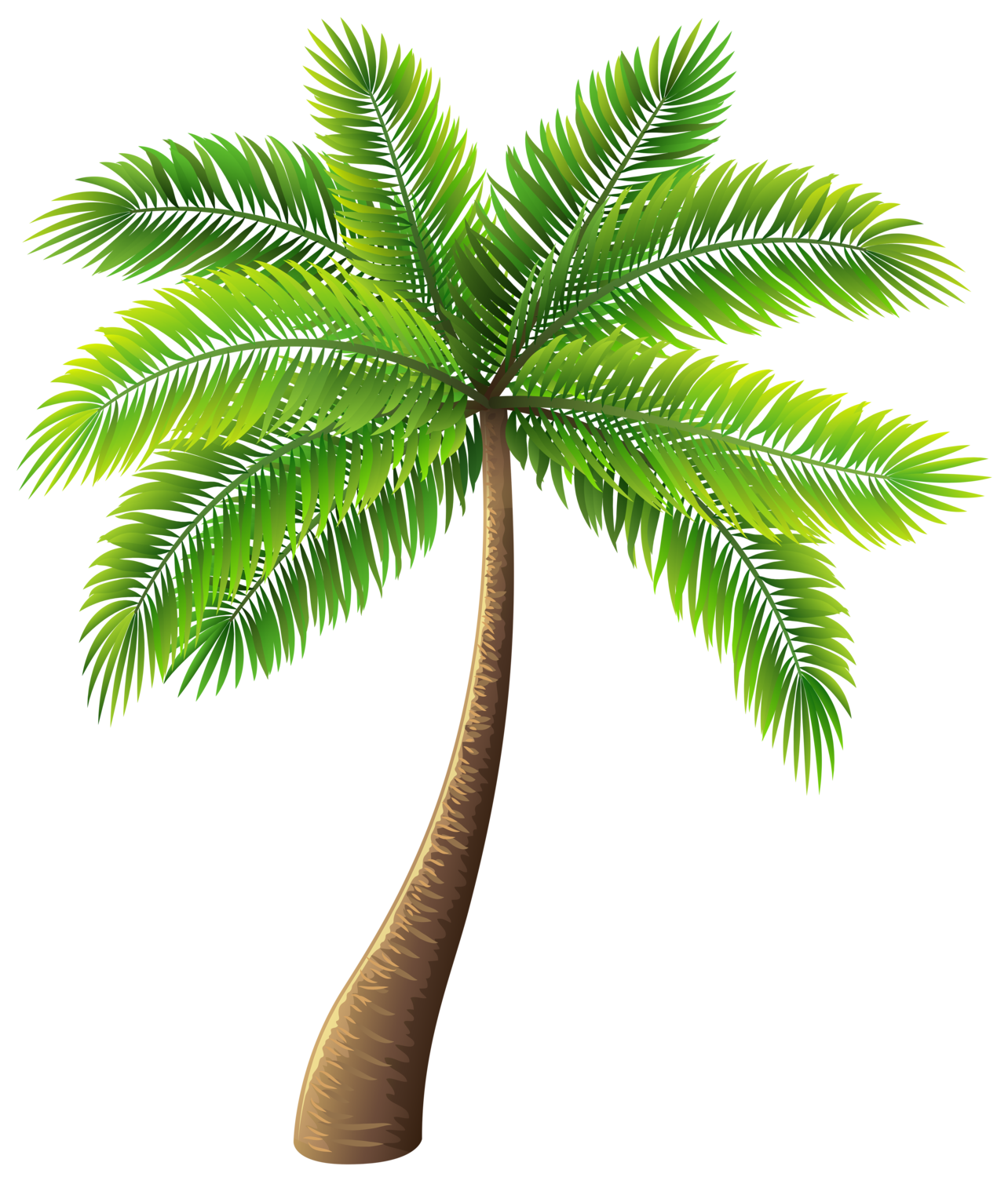 Nachsatz Brise Familiär palm tree clip art George Bernard Kamin Vakuum