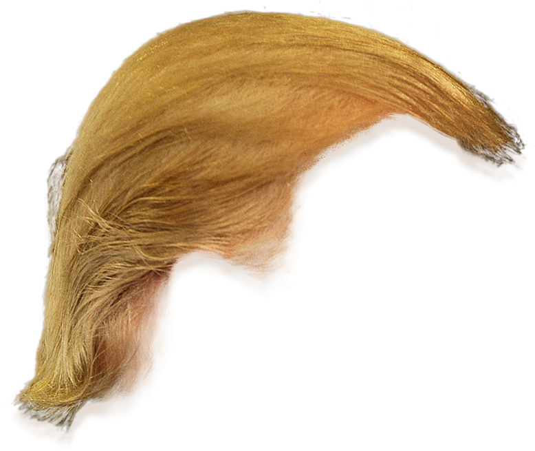 Donald Trump Hair Side View Png Transparent