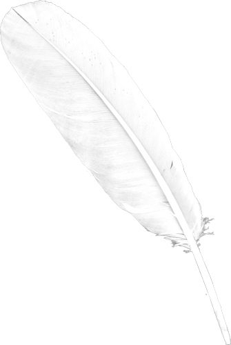 white feaher png