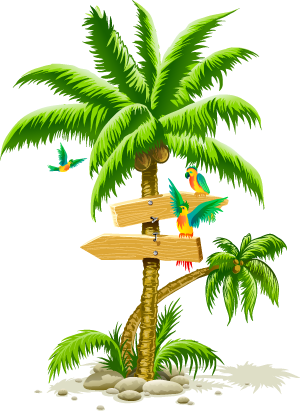 palm tree png image cartoon birds beach