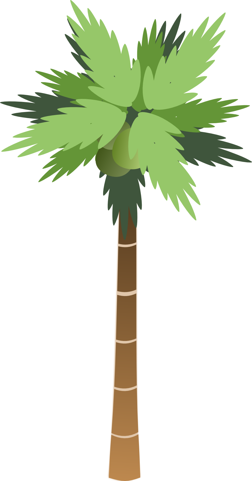 Palm Cartoon Tree Png Image
