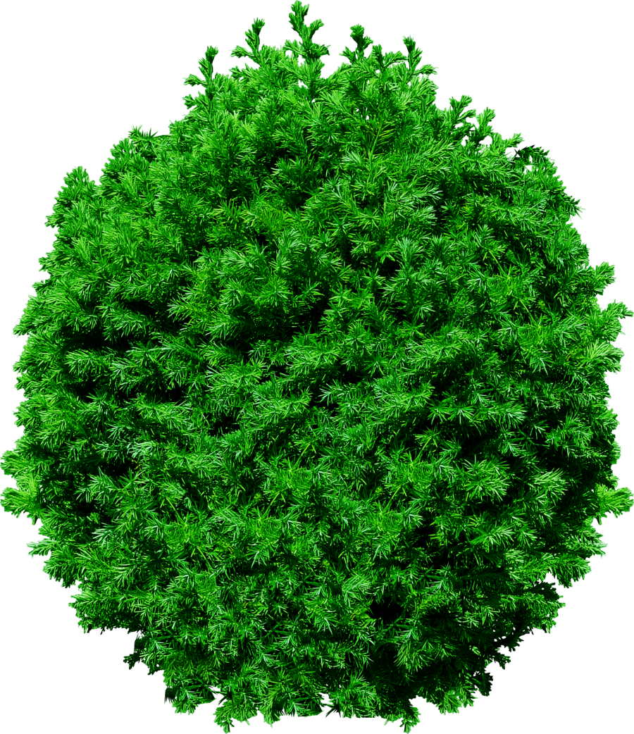 tree png 1380909646