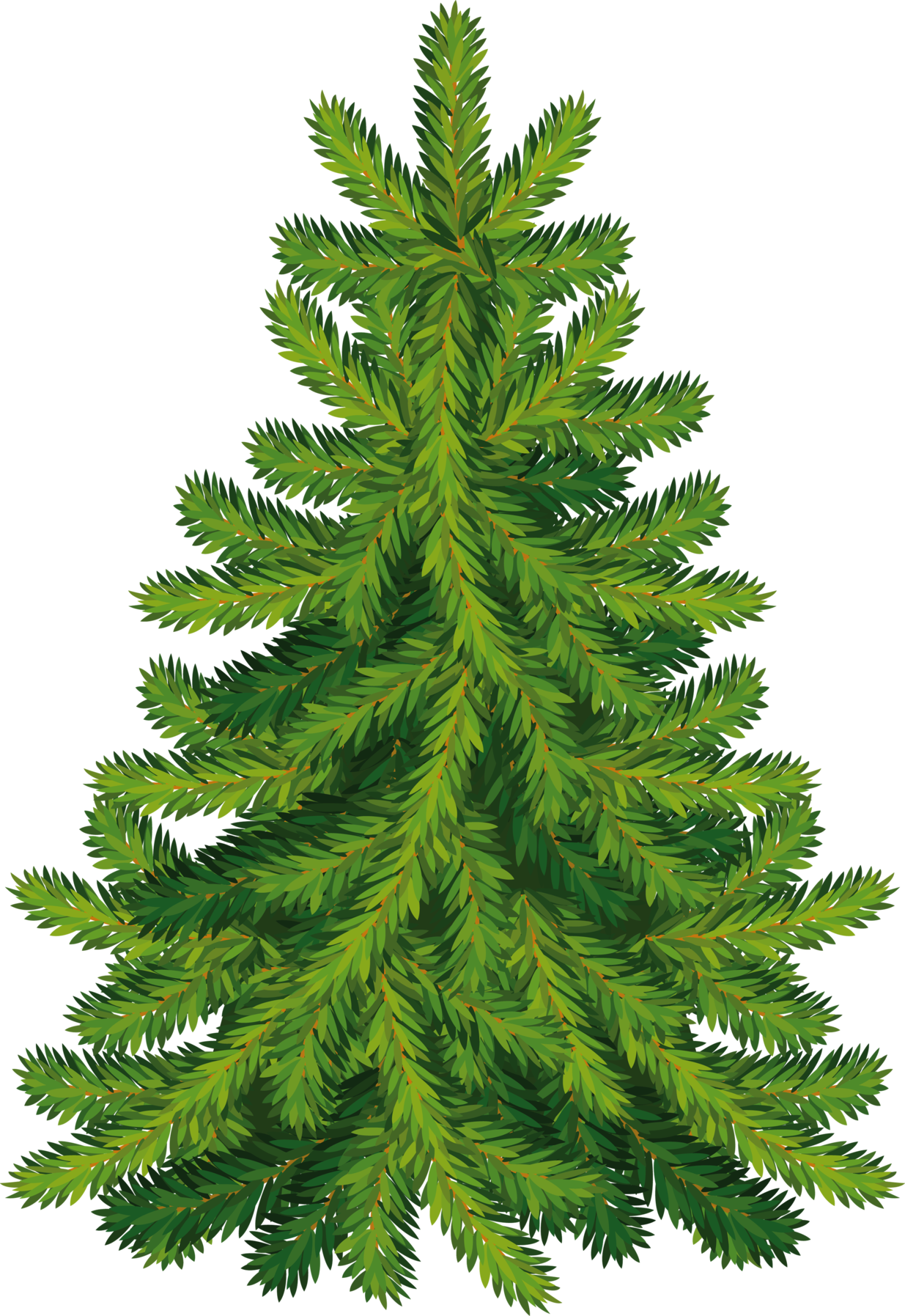 fir tree png transparent 3724