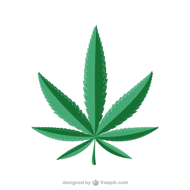 marijuana leaf cannabis weed