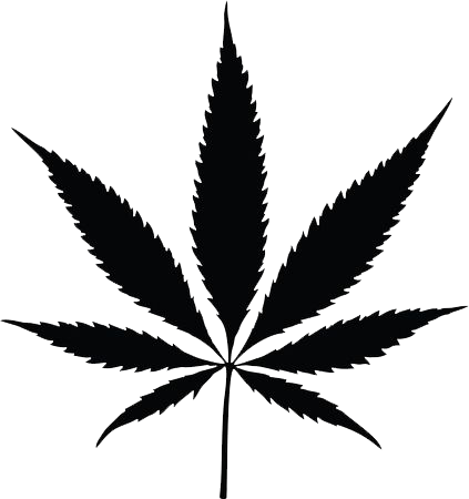 A Black Silhouetted Cannabis Pot Leaf