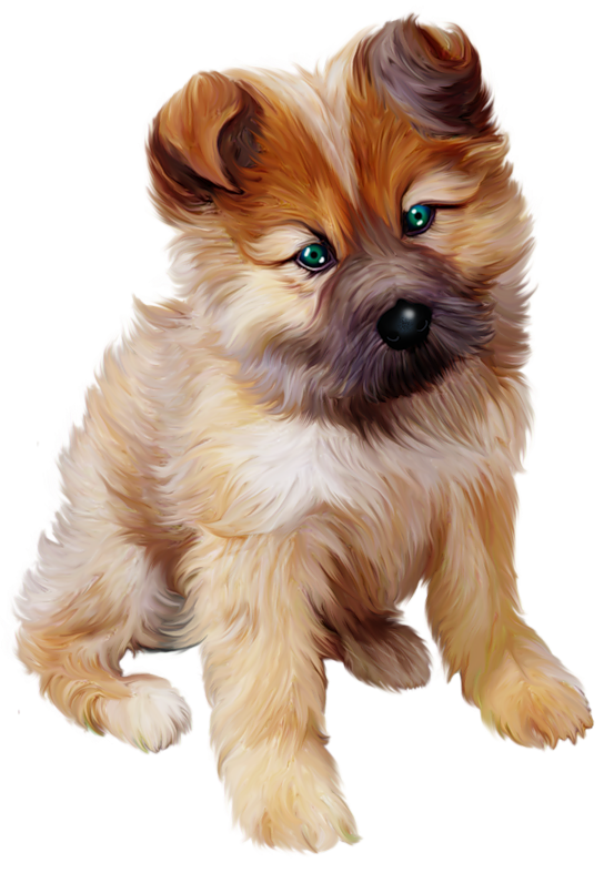 Puppy PNG Photos