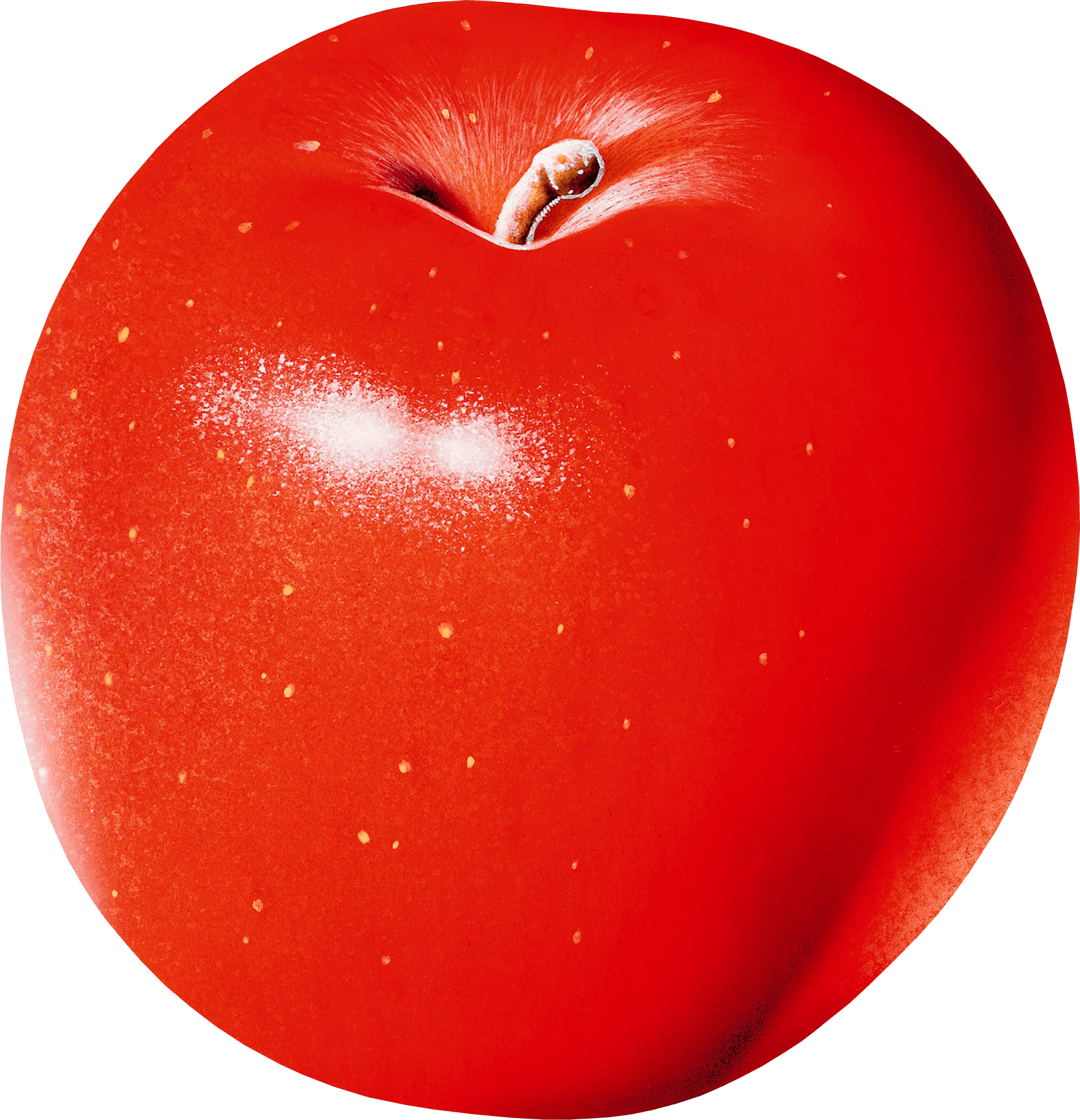 11 red apple png image