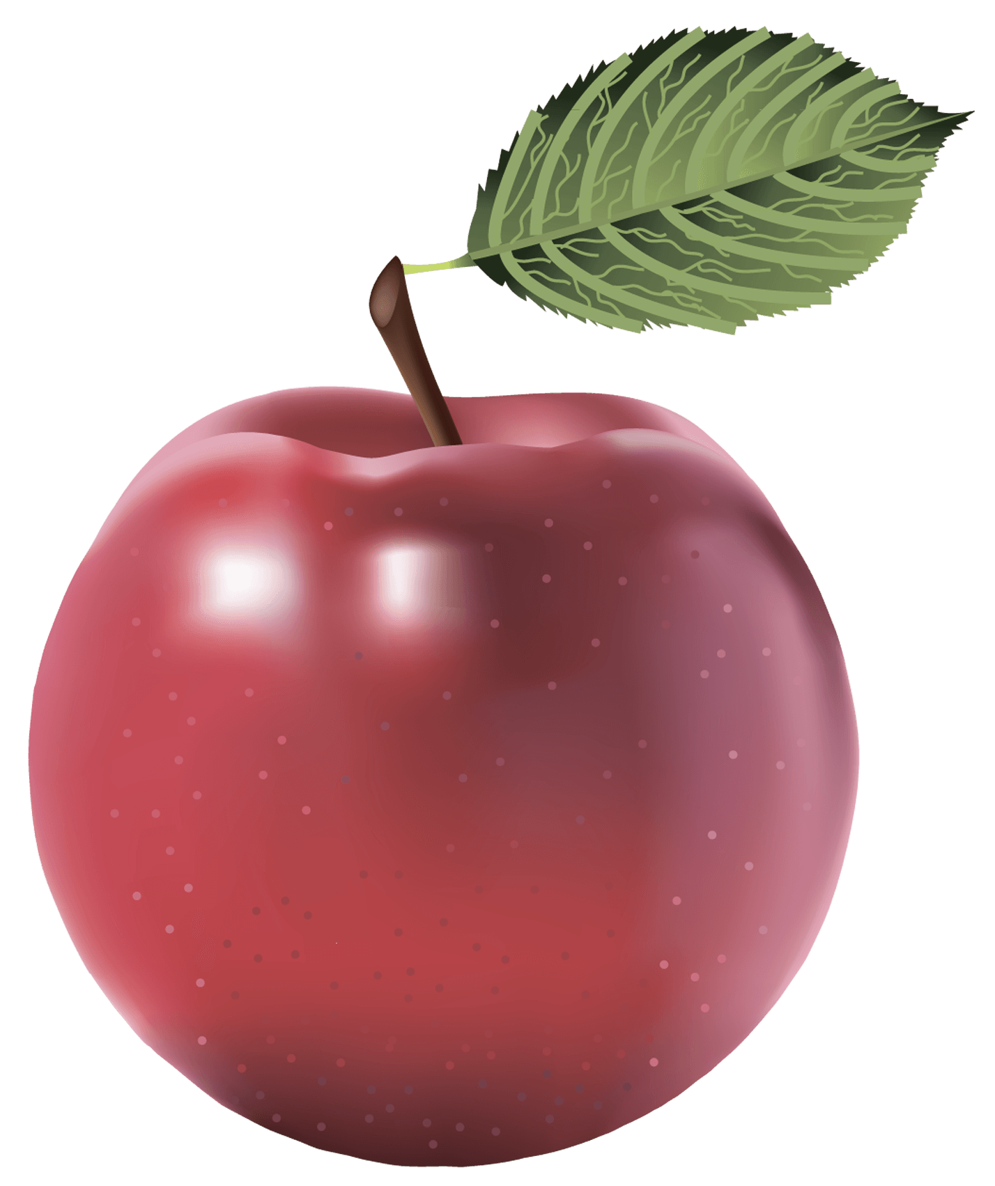17 apple png image