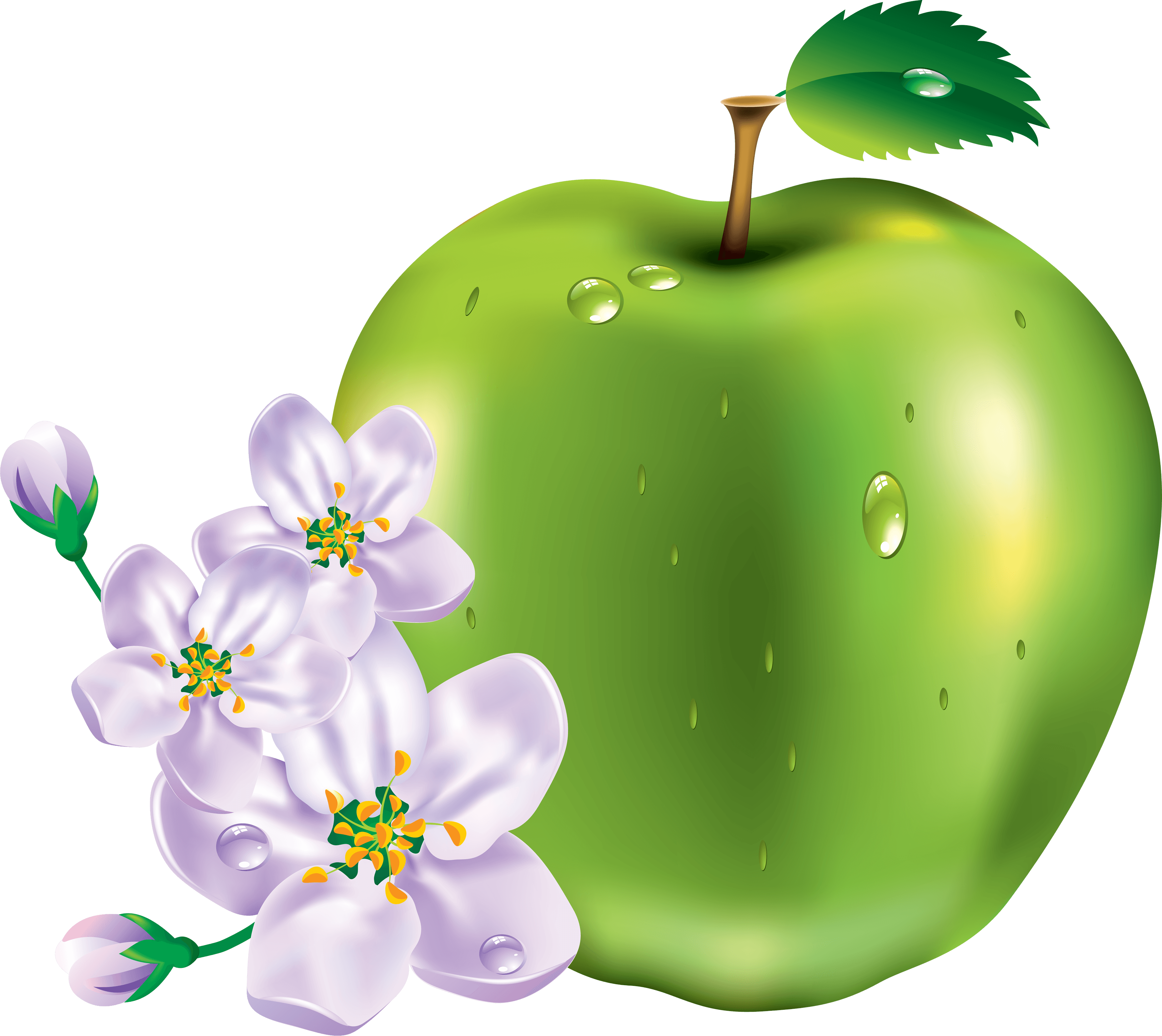 15 green apple png image