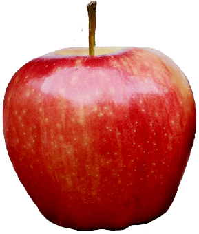 73 apple png image
