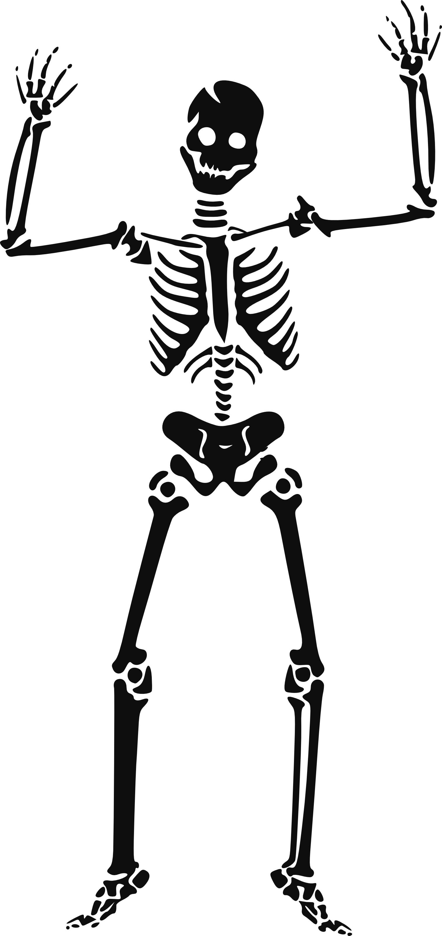 Halloween skeleton clipart free clipart images image