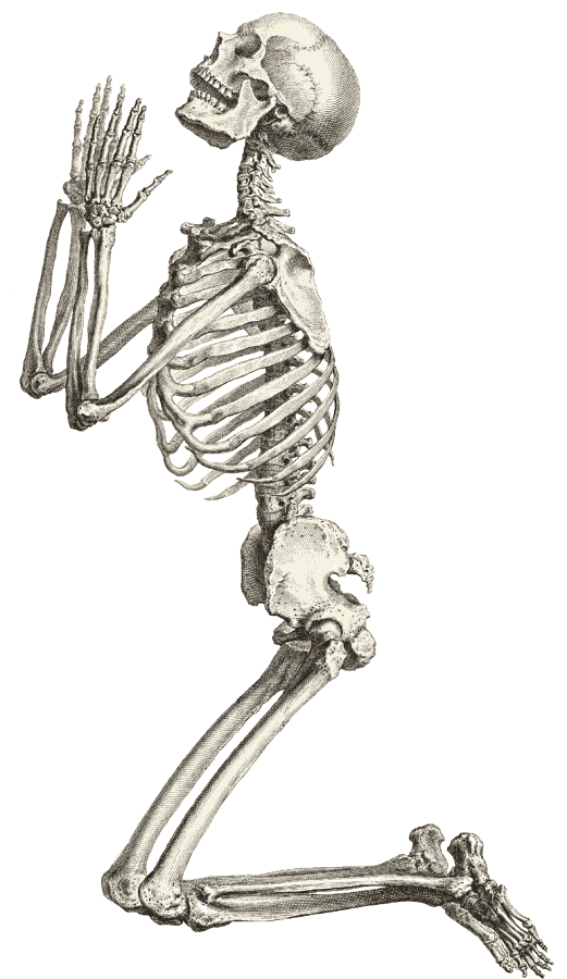 Free skeleton clipart public domain halloween clip art images 2 2