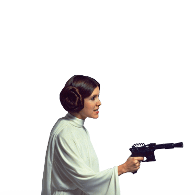 Download Princess Leia Side View Transparent PNG