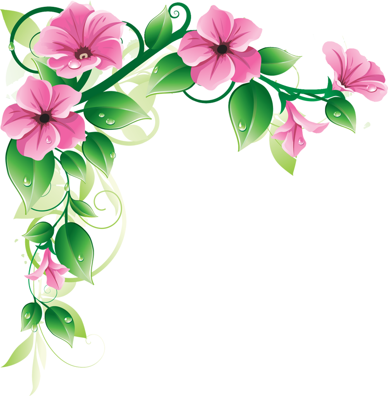 6 2 flowers borders high quality png