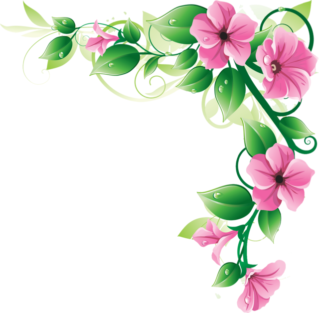 11 2 flowers borders png image