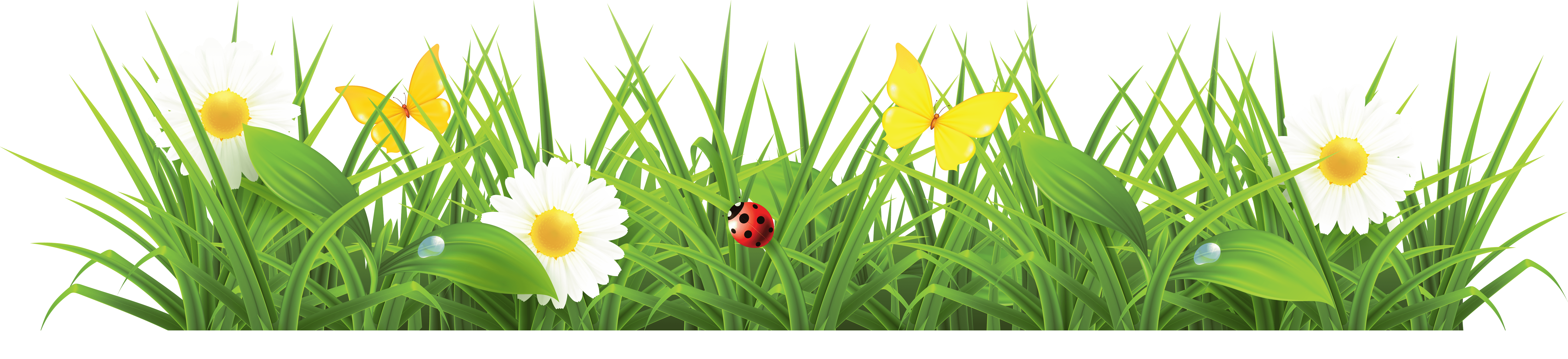 Cartoon Green Grass Png