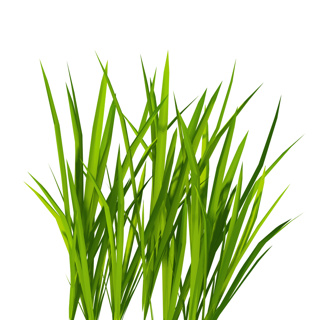 grass png image green grass png picture