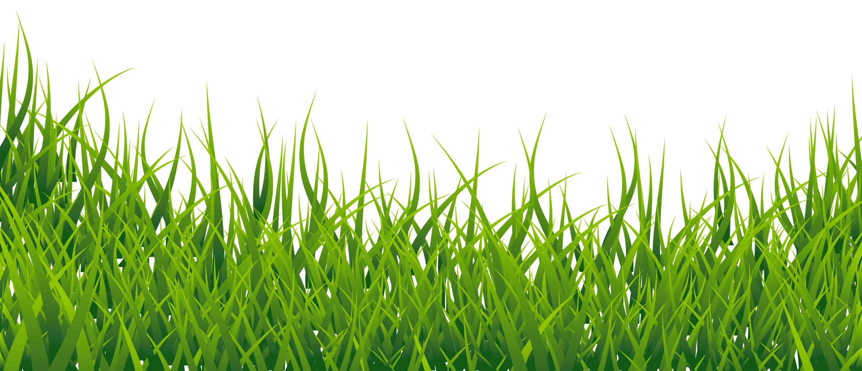 Hd Grass Png Transparent Image