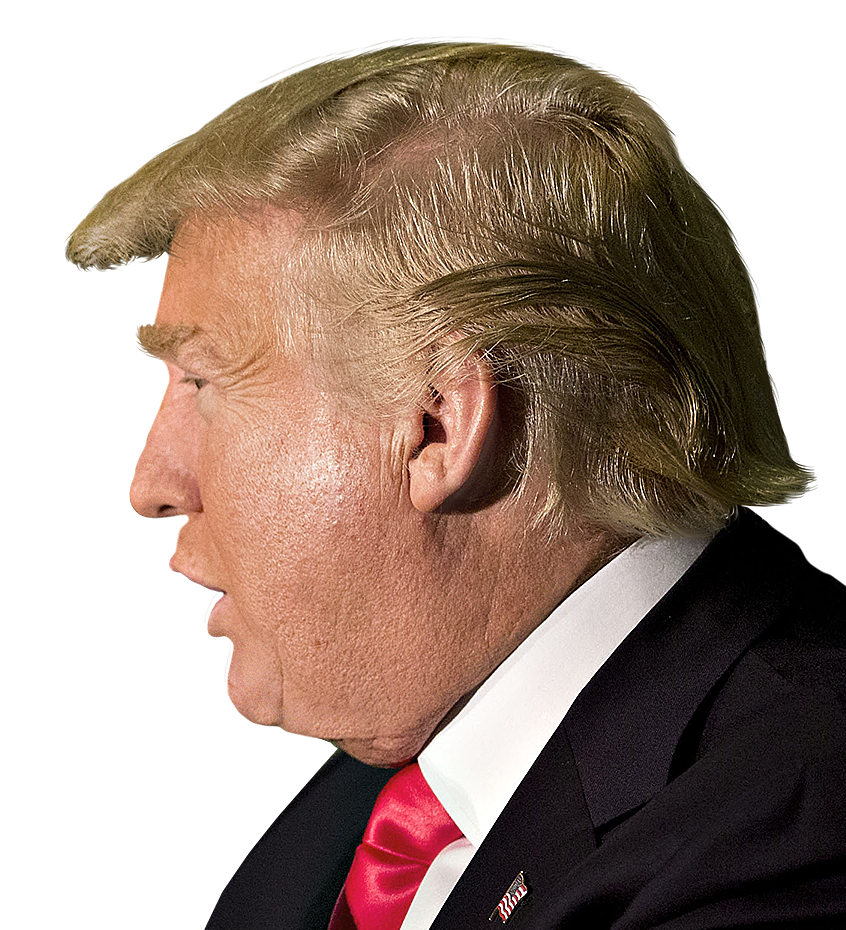 donald trump head will see you un court png