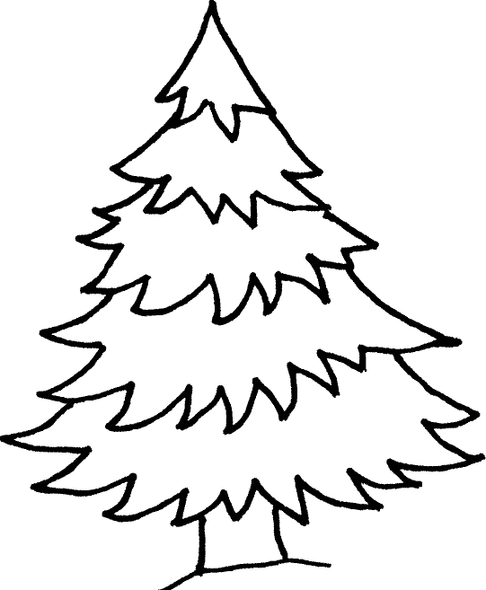 fir tree clipart black and white