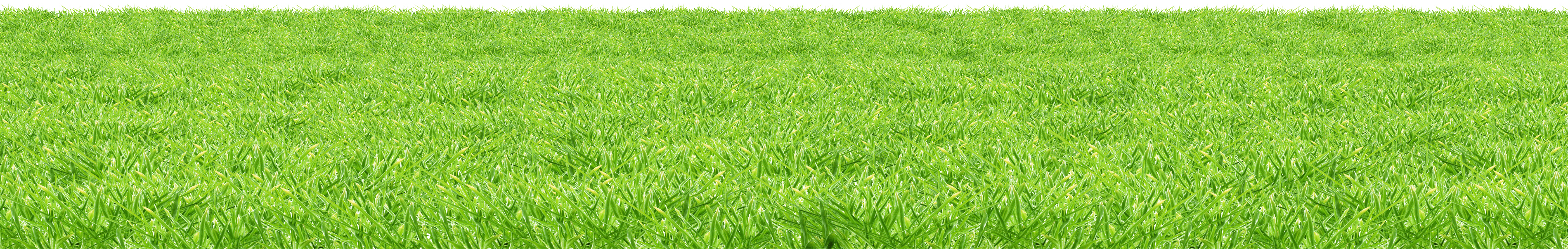 grass png 28 green
