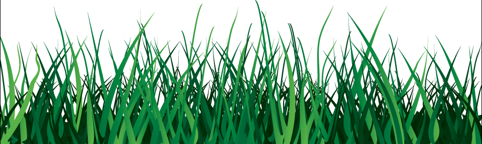 grass png 23