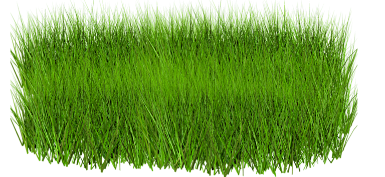 grass png 11