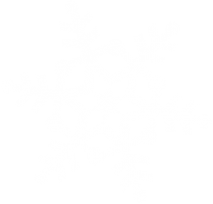 white snowflake png ice crystal 1