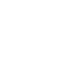 white snowflake png 11