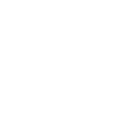 white snowflake png 2